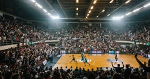 Live Betting in New Zealand 2026: TAB, Betcha and the Offshore Question